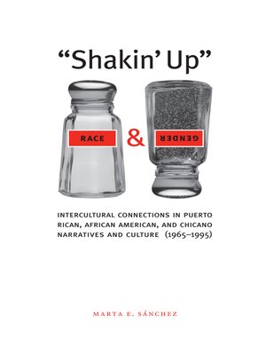 cover image of Shakin' Up Race and Gender